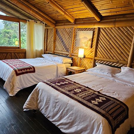 Golden Tree Mindo Eco-Lodge Екстериор снимка