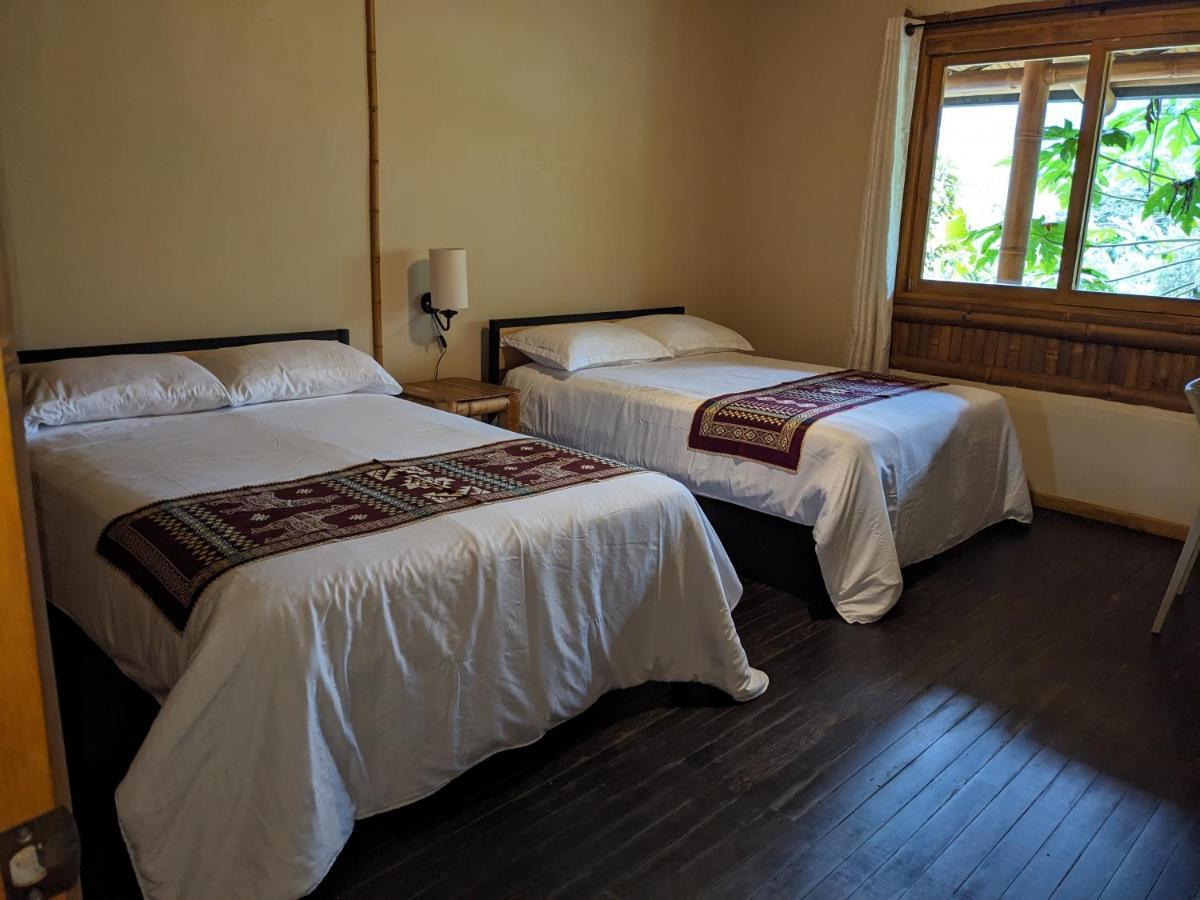 Golden Tree Mindo Eco-Lodge Екстериор снимка