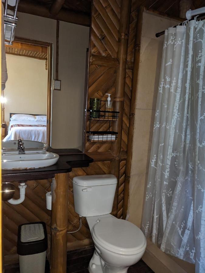 Golden Tree Mindo Eco-Lodge Екстериор снимка