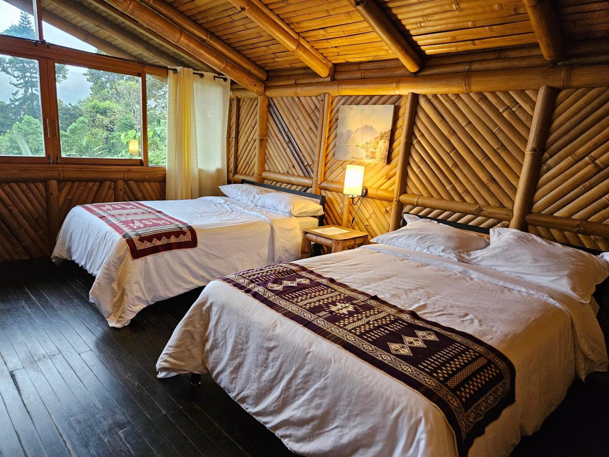 Golden Tree Mindo Eco-Lodge Екстериор снимка